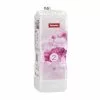 MIELE UltraPhase 2 FloralBoost - Accessoires Entretien Du Linge